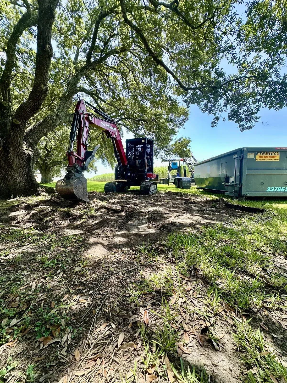 Red Yanmar mini excavator parked near a roll-off dumpster under live oak trees during site work.