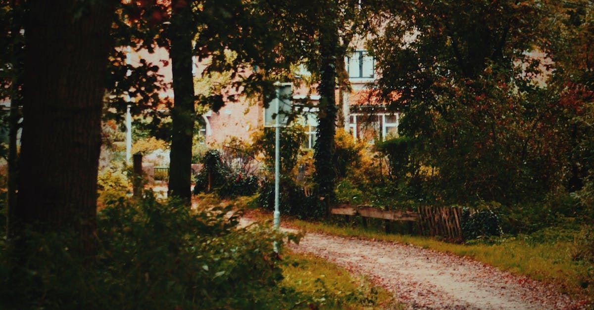 Een met bomen omzoomd zandpad kronkelt door een bosrijk park, met zonlicht en een huis op de achtergrond.