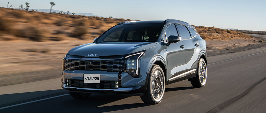 ROMING RENT A CAR