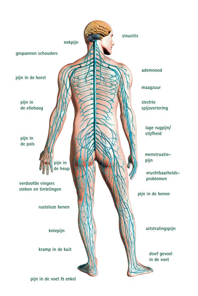 Belemmerende body stress