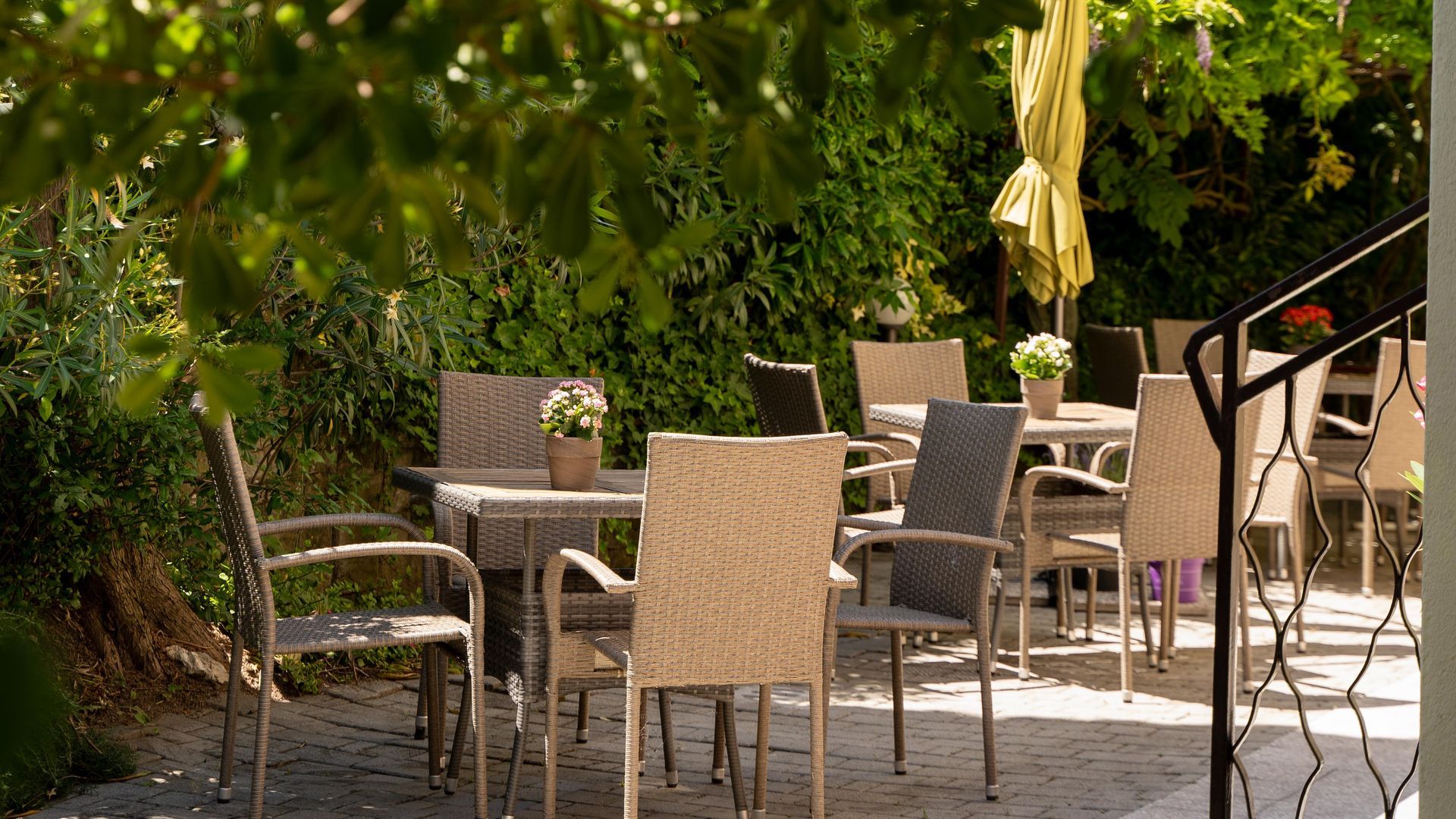 The Terrace & Picnic Area