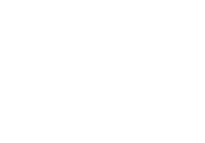 SDA Customised logo