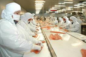 Plastiseal Industrial S.A. de C.V.