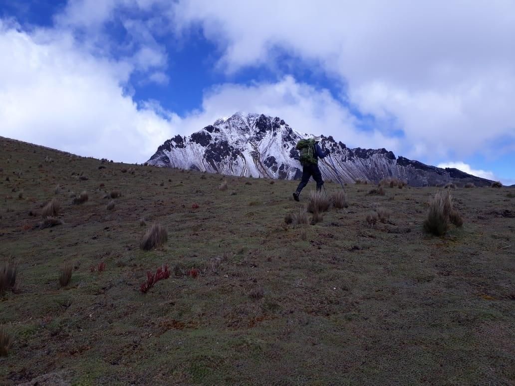A lone hiker climbs a grassy slope toward snowy mountains under a cloudy blue sky.