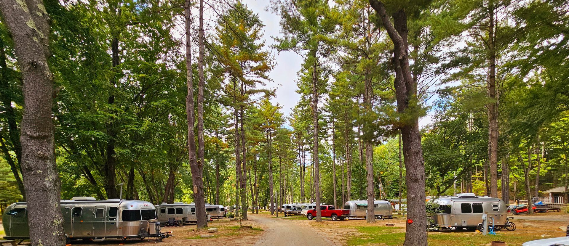 A row of rvs parked in a campground surrounded by trees.