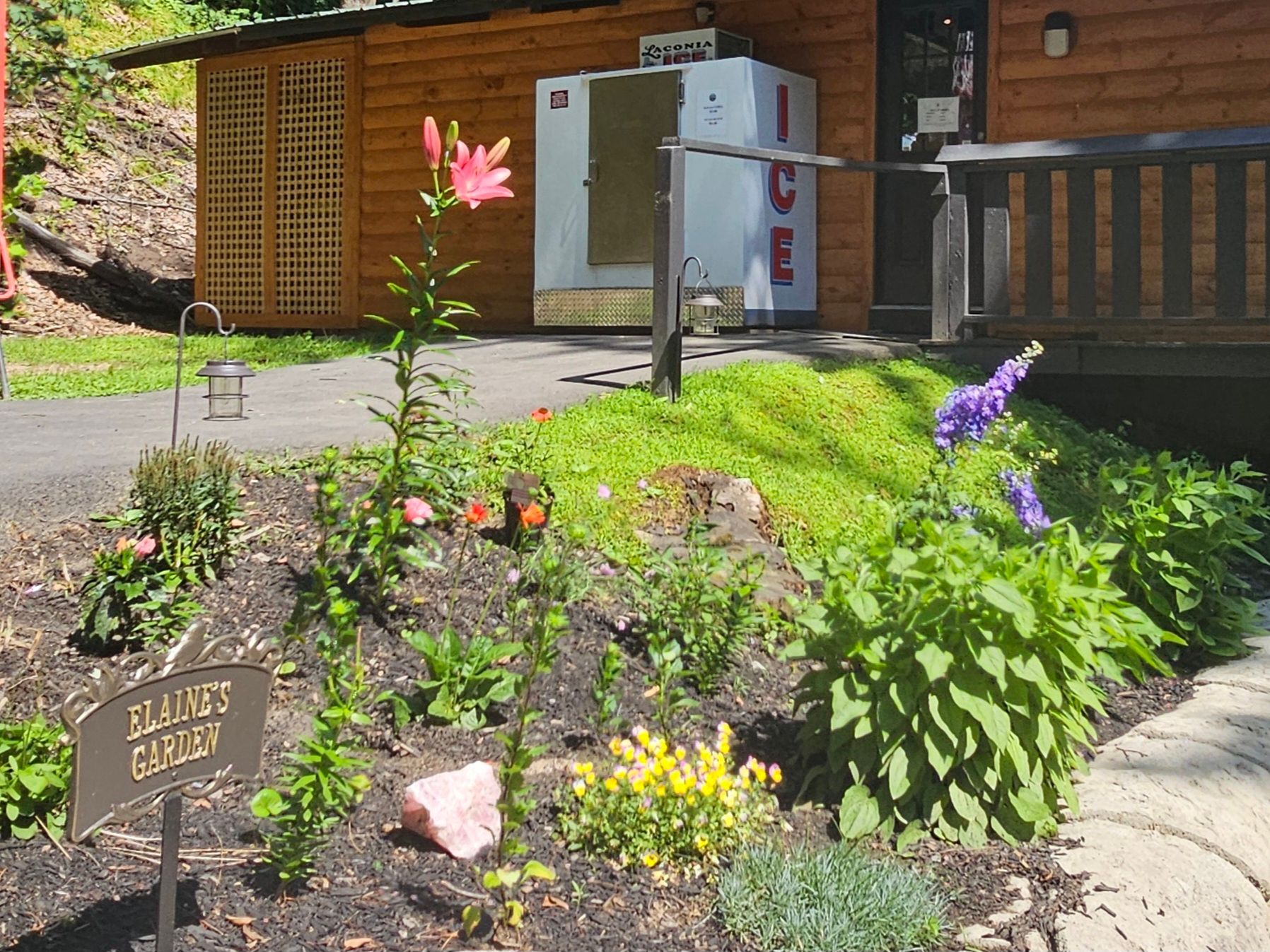 A garden with flowers and a sign that says blaine 's garden