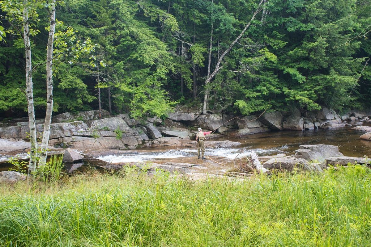 A river flowing through a lush green forest surrounded by trees and rocks.