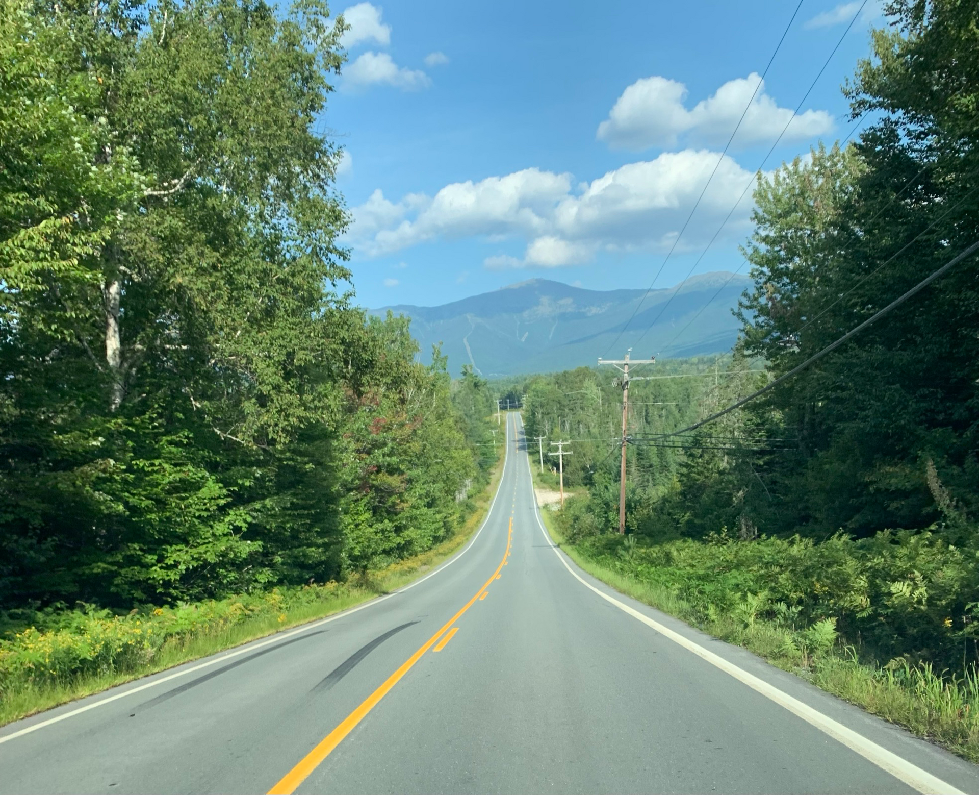 A road with trees on both sides and mountains in the background