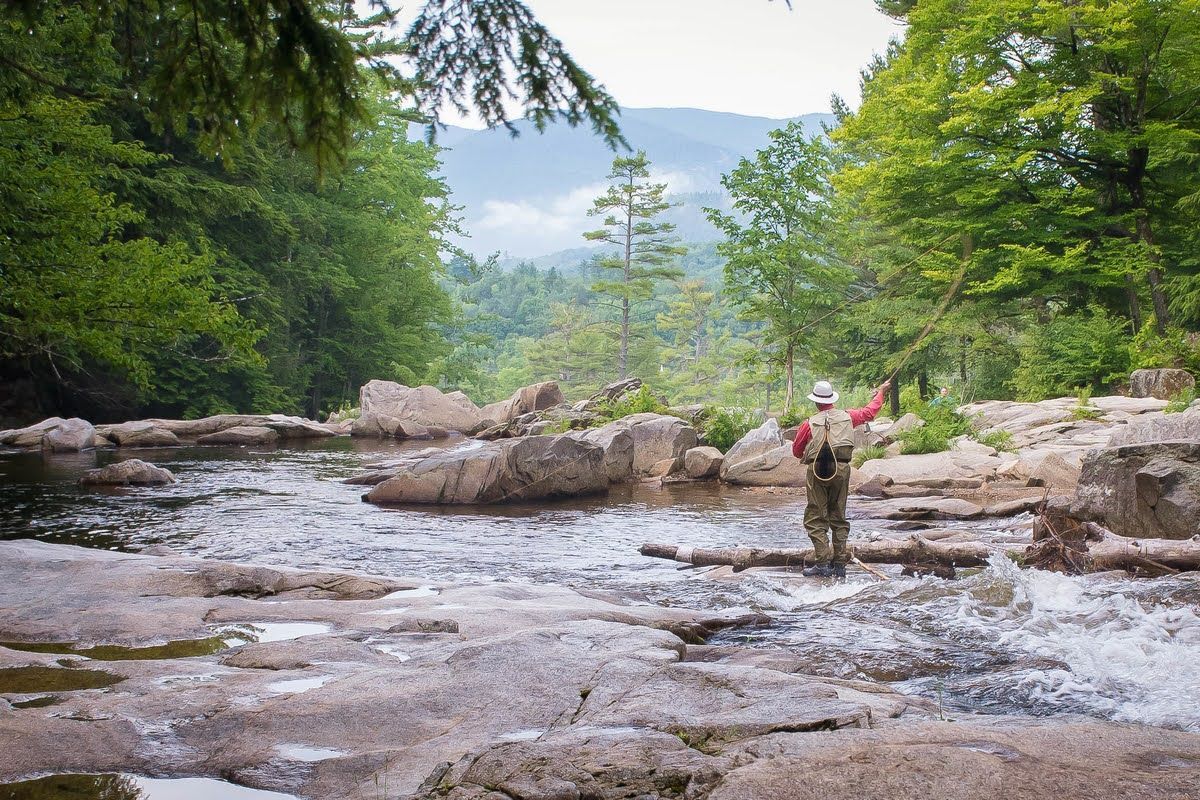 A man is fishing in a river in the woods.