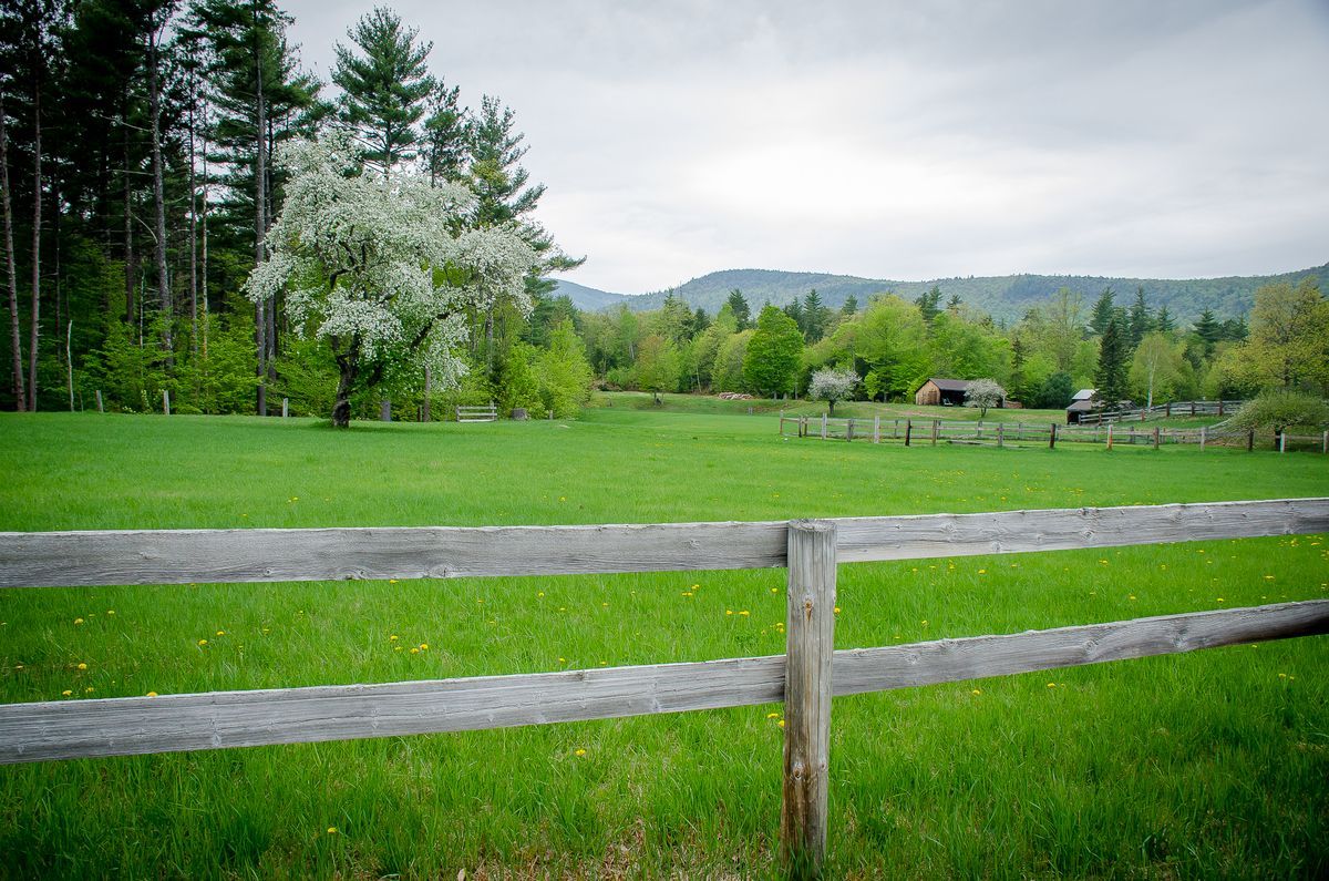 scenic drive to local spring