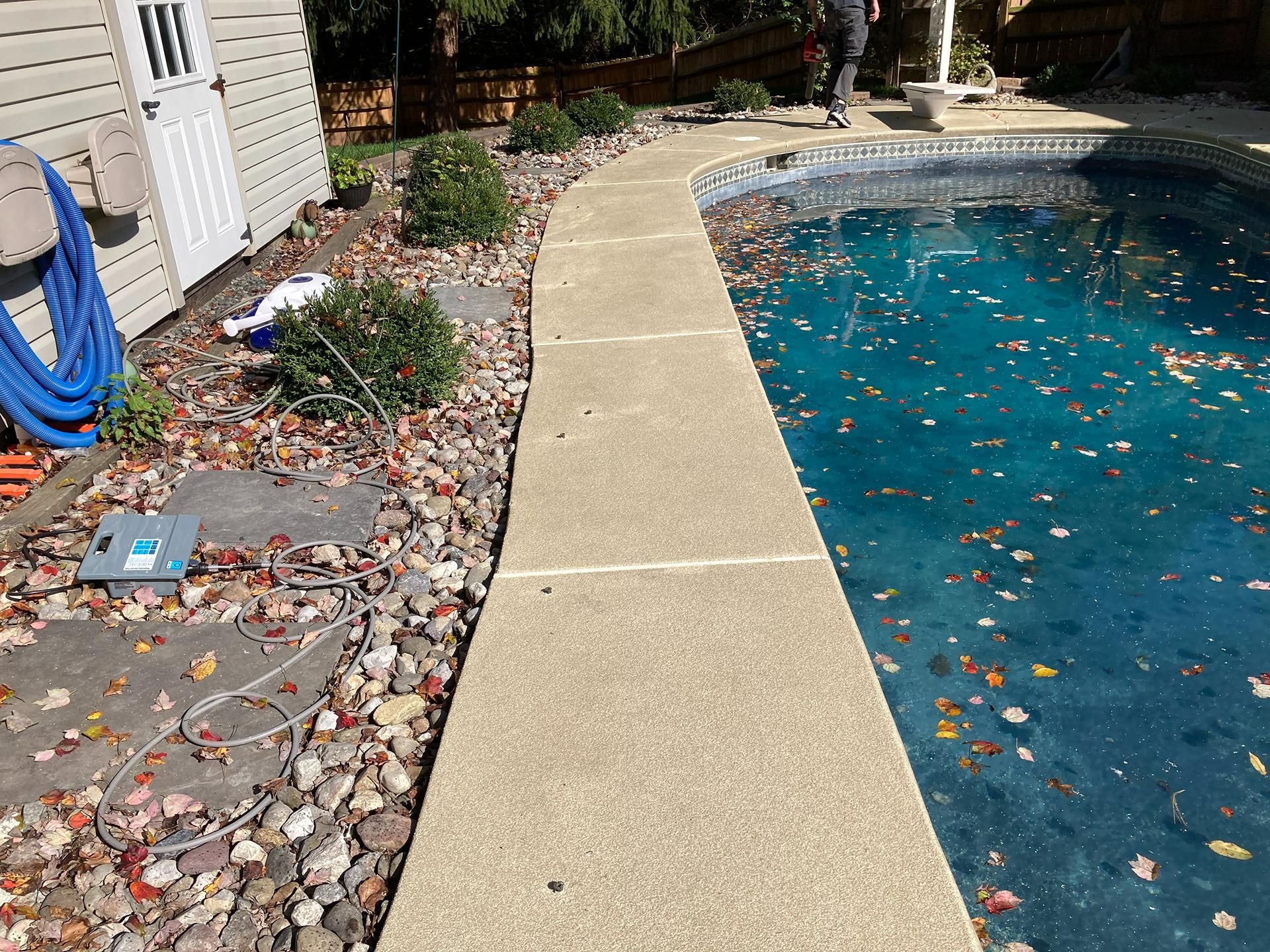 Poolside walkway beside blue water and rock landscaping with scattered leaves