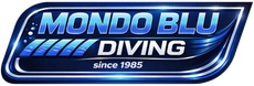 Logo with three gold, wavy lines above a white word and a life preserver.