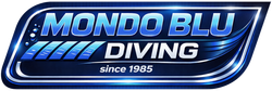 Logo with three gold, wavy lines above a white word and a life preserver.