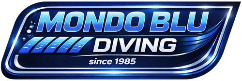Florida Boat Vacations logo with gold waves and a life preserver.