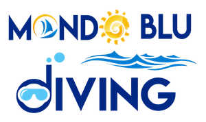 Florida Boat Vacations logo with gold waves and a life preserver.