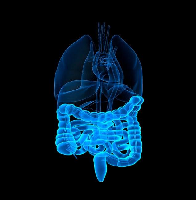 DR. WASKAR ELIEZER YNZUNZA VEGA- enfermedades de colon