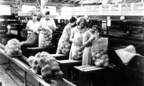 A black and white photo of people working in a factory