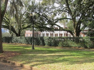 A park with trees and a building in the background