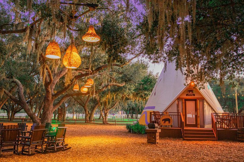 A teepee is surrounded by trees and chairs in a park.