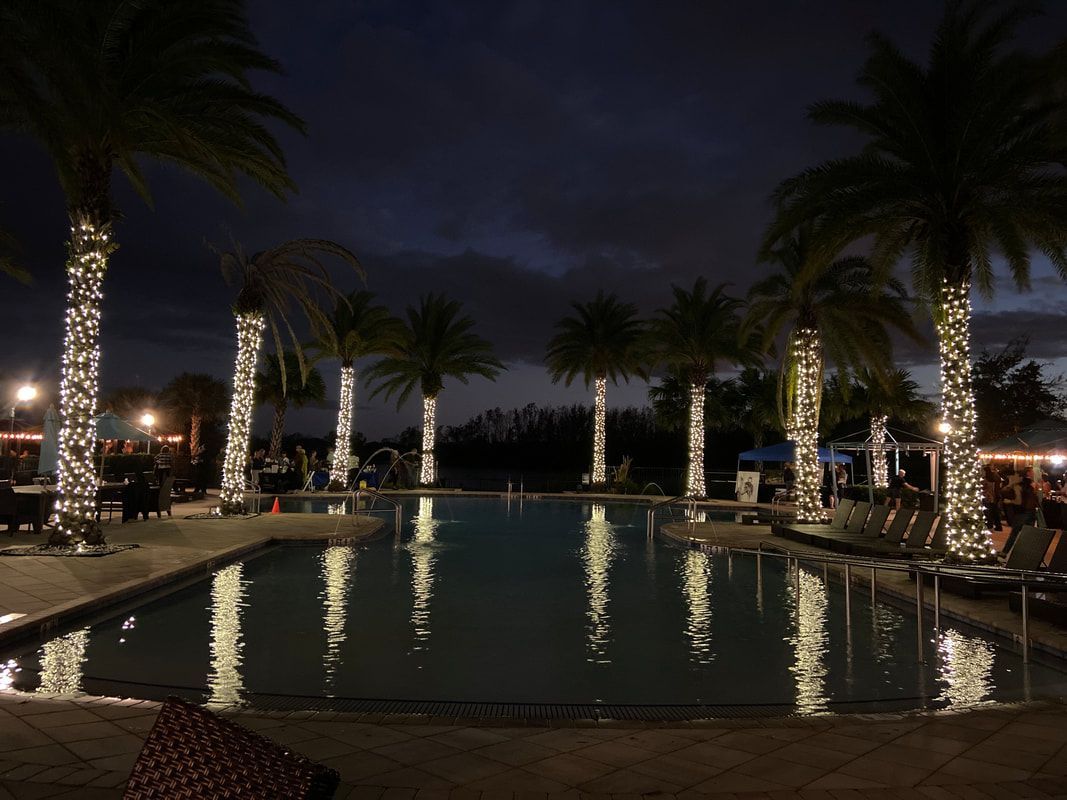 A swimming pool surrounded by palm trees at night