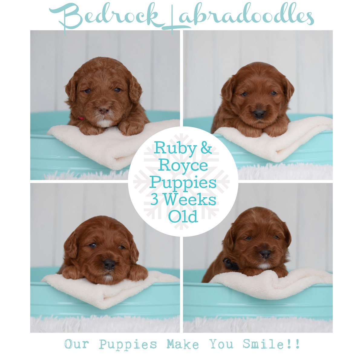 Ruby Royce Rippy Ruby & Royce