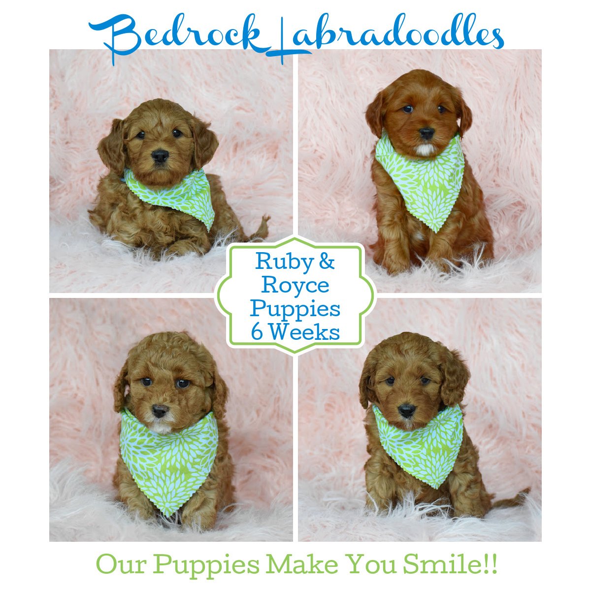Ruby Royce Rippy Ruby & Royce