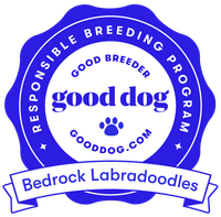 Good Breeder Good Dog