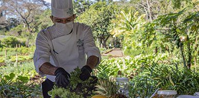Experiência gastronômica na horta do Bourbon Cataratas do Iguaçu