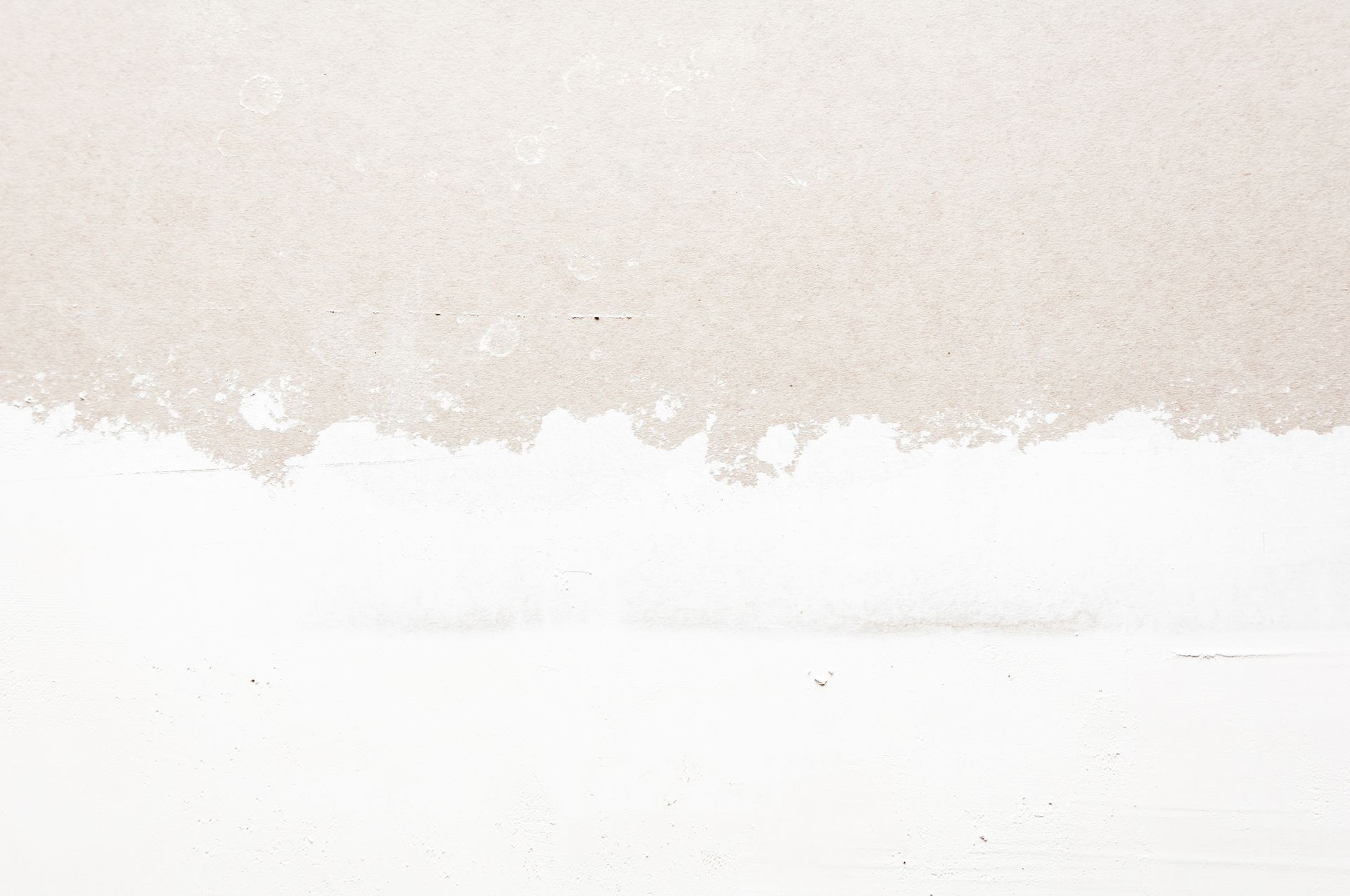 Dry Wall — Greensboro, NC — Blackdog Handyman Service Inc.