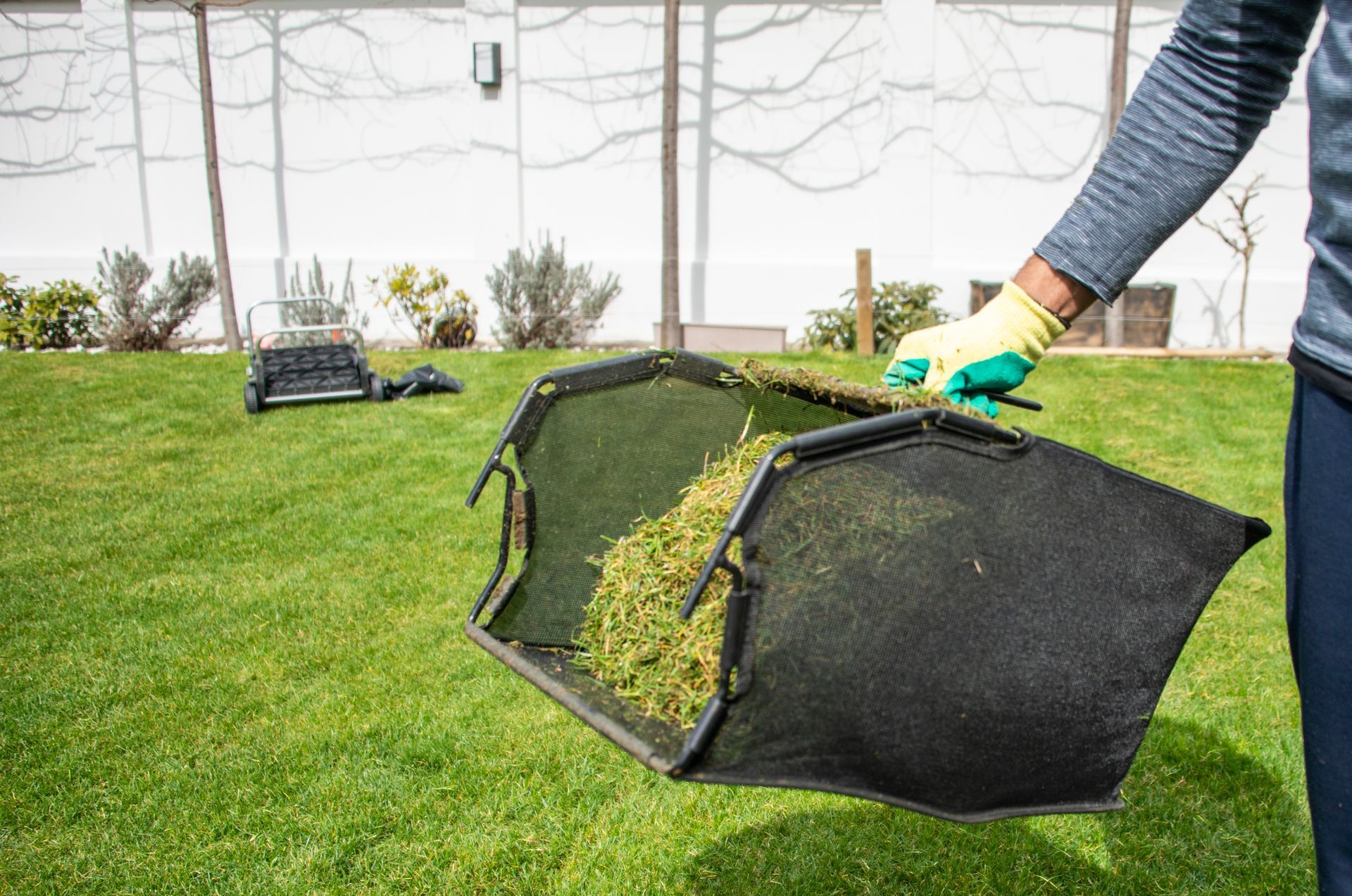 Yard Maintenance — Greensboro, NC — Blackdog Handyman Service Inc.