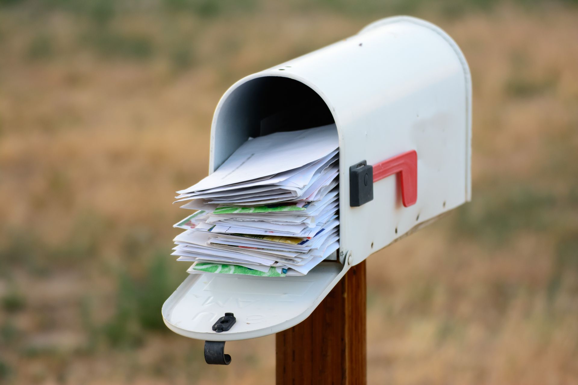 Mailbox — Greensboro, NC — Blackdog Handyman Service Inc.