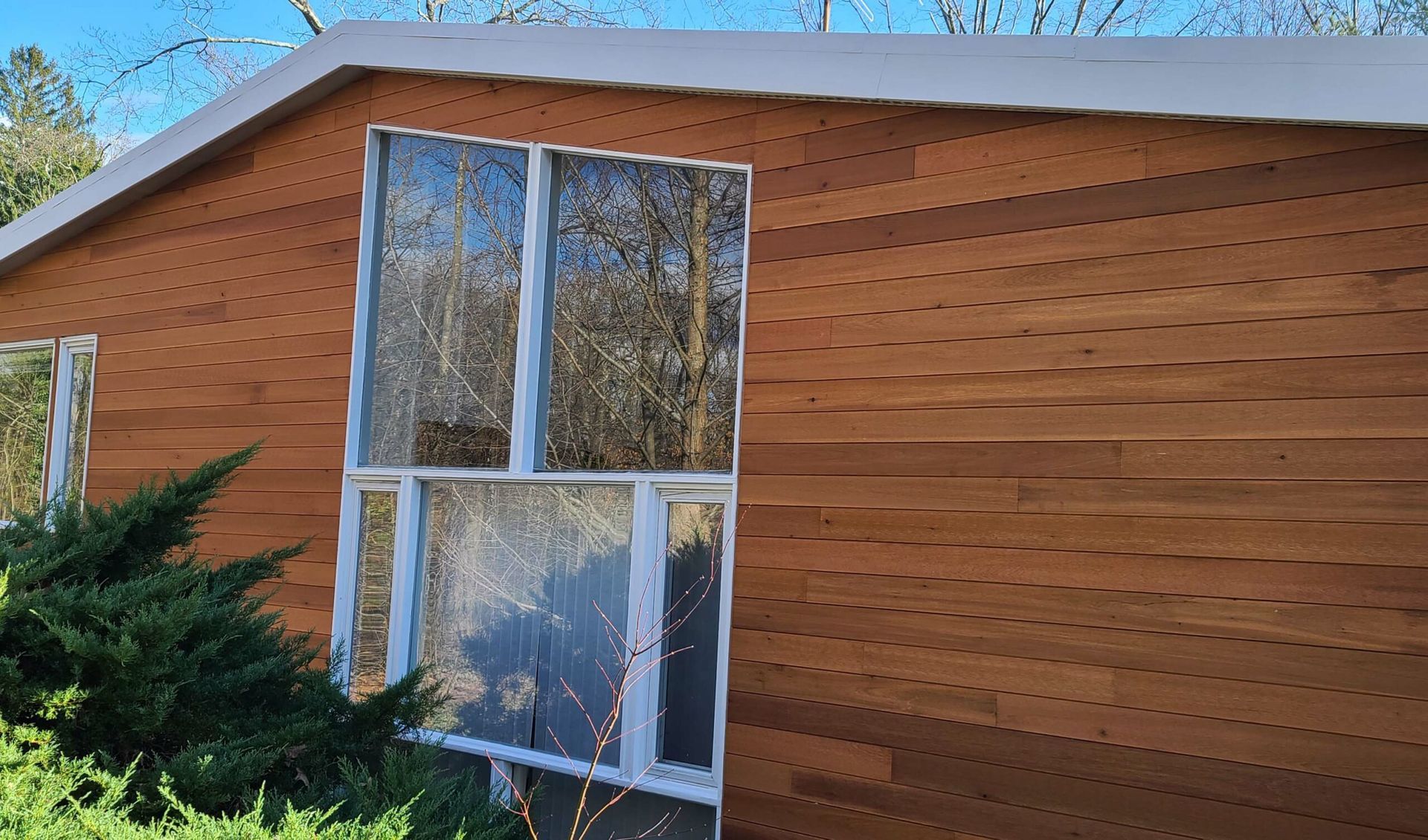 Siding & Windows