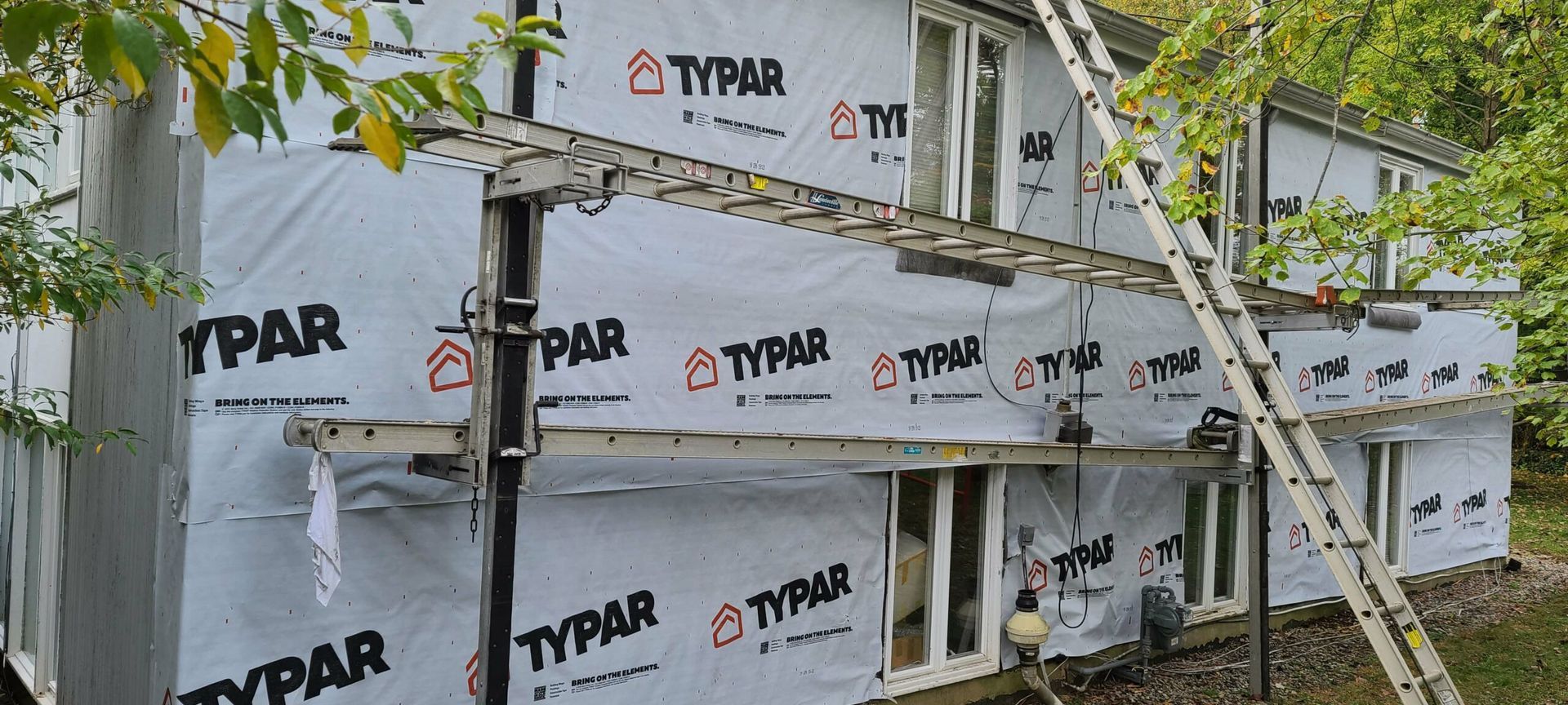 Siding & Windows