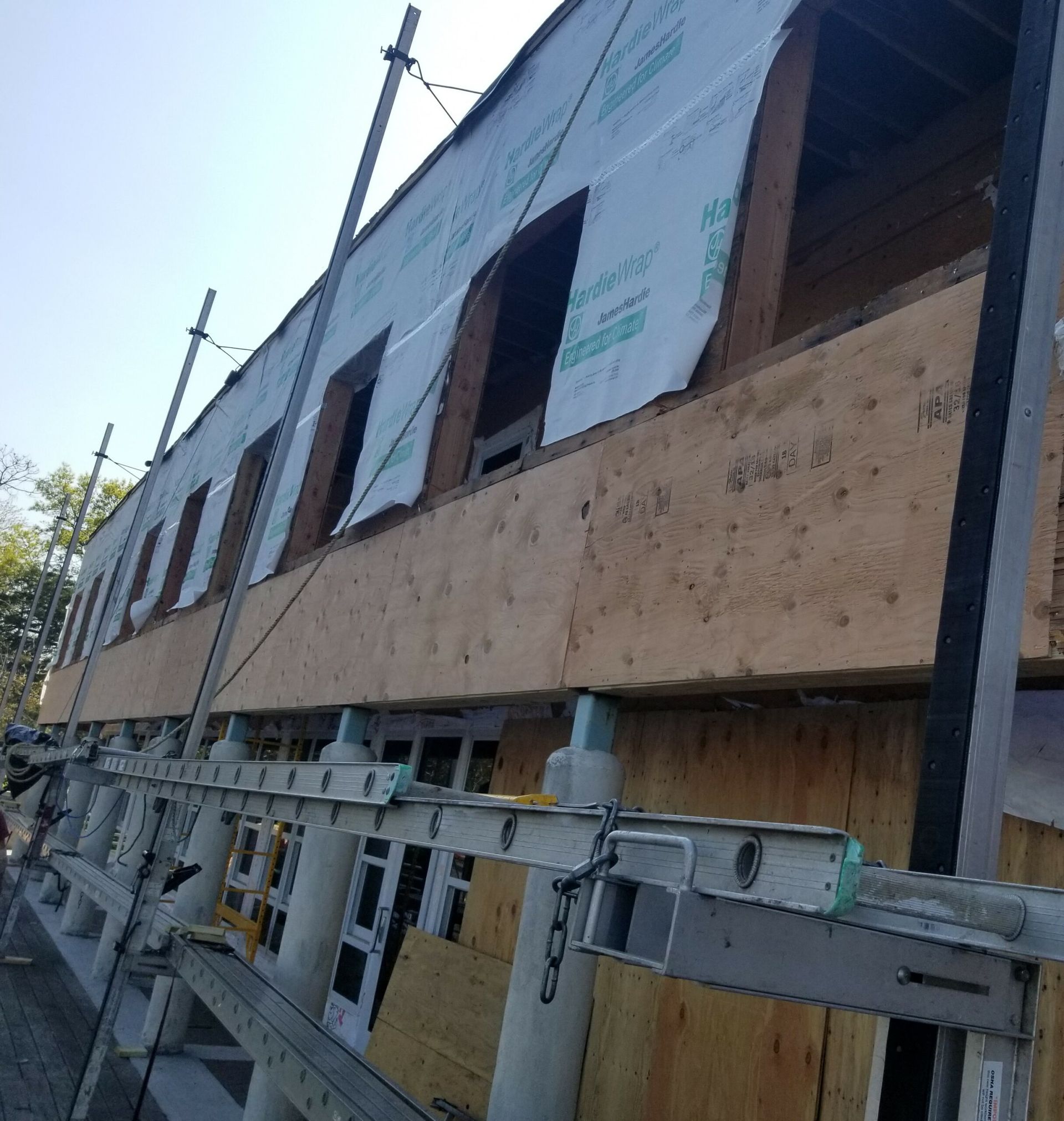 Siding & Windows