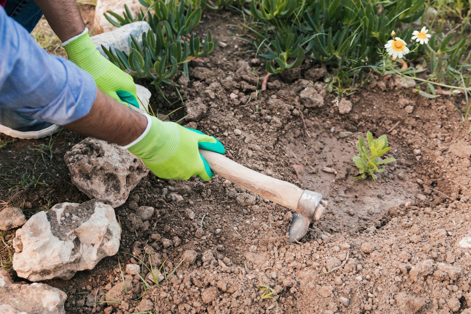 Person using a hoe to clear soil around young plants in a garden bed