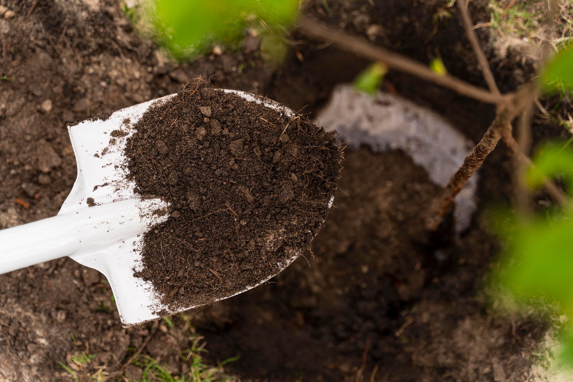 White trowel scooping dark soil from a garden bed