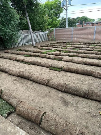 Rolled sod laid in rows on a backyard lawn near a fence and steps