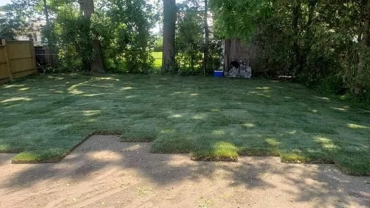 A backyard with a lot of grass and trees.