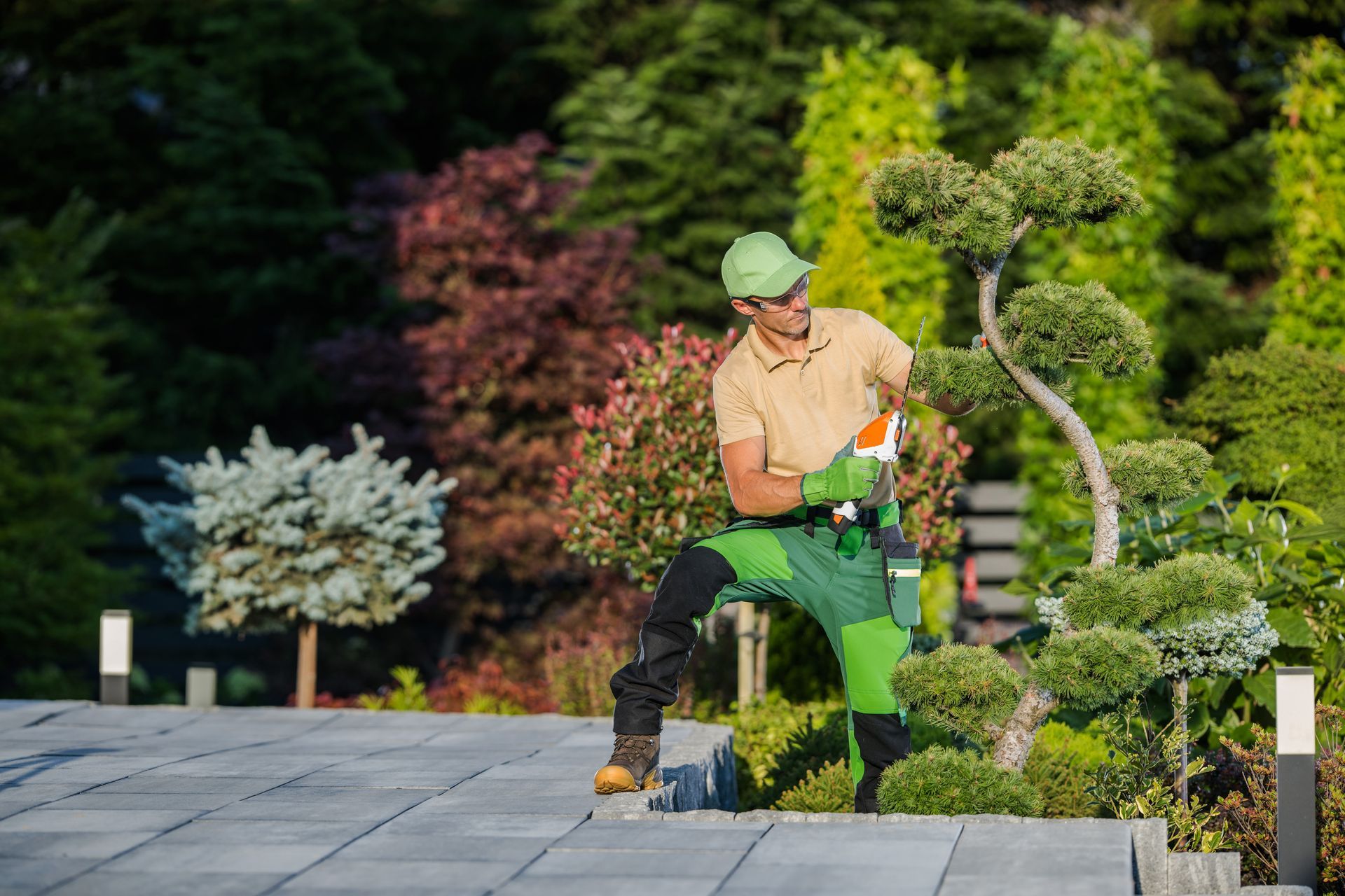 A man is cutting a tree with a chainsaw in a garden.