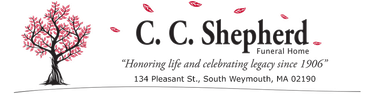 logo-image