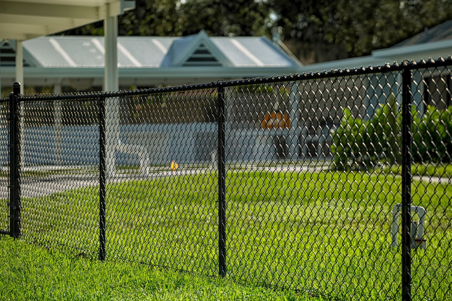 Black chain-link fence in a grassy yard; a white building is in the background.