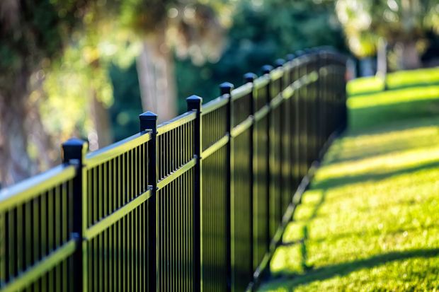 A black metal fence surrounds a lush green field.