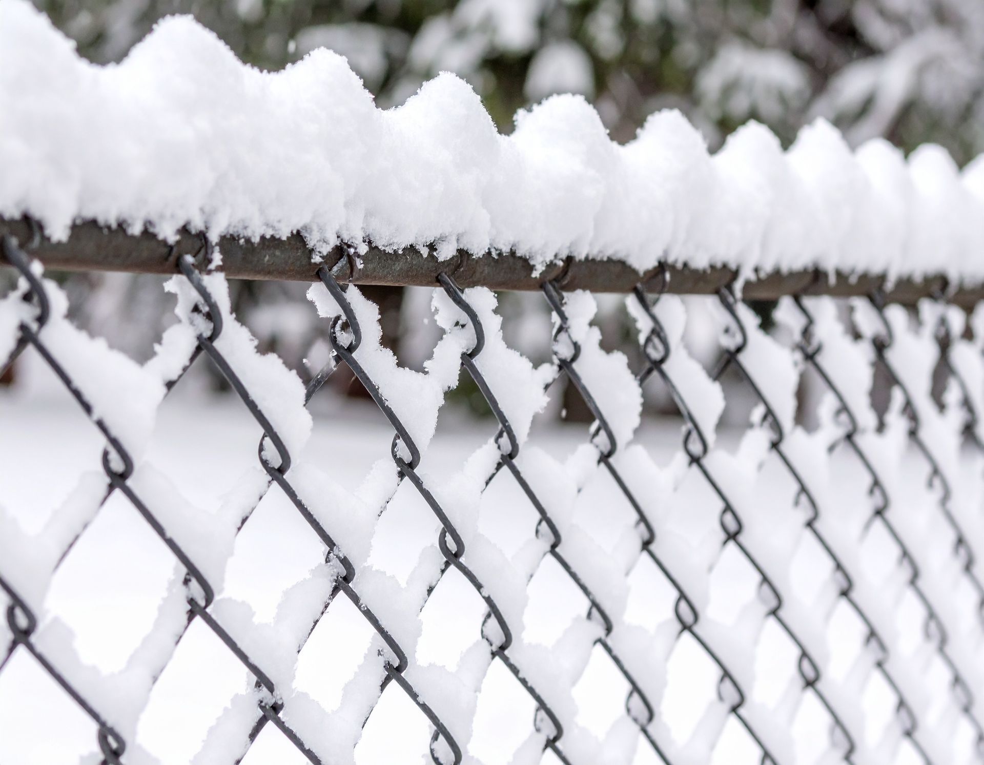 Snow-covered chain-link fence with snow drifts along the top.