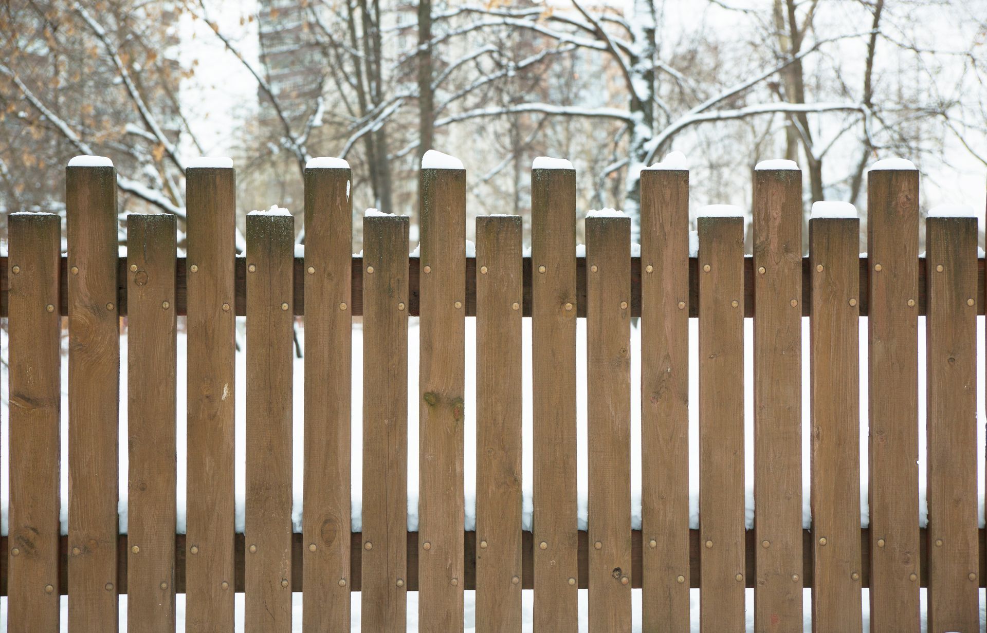 A wooden fence with snow on the posts and trees in the background.