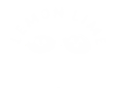 Lemon lime laundry and lemon lime car wash