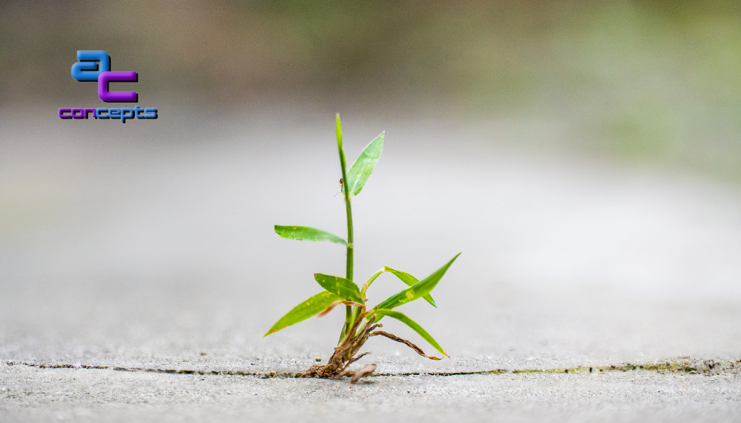 Green sprout pushing through concrete.