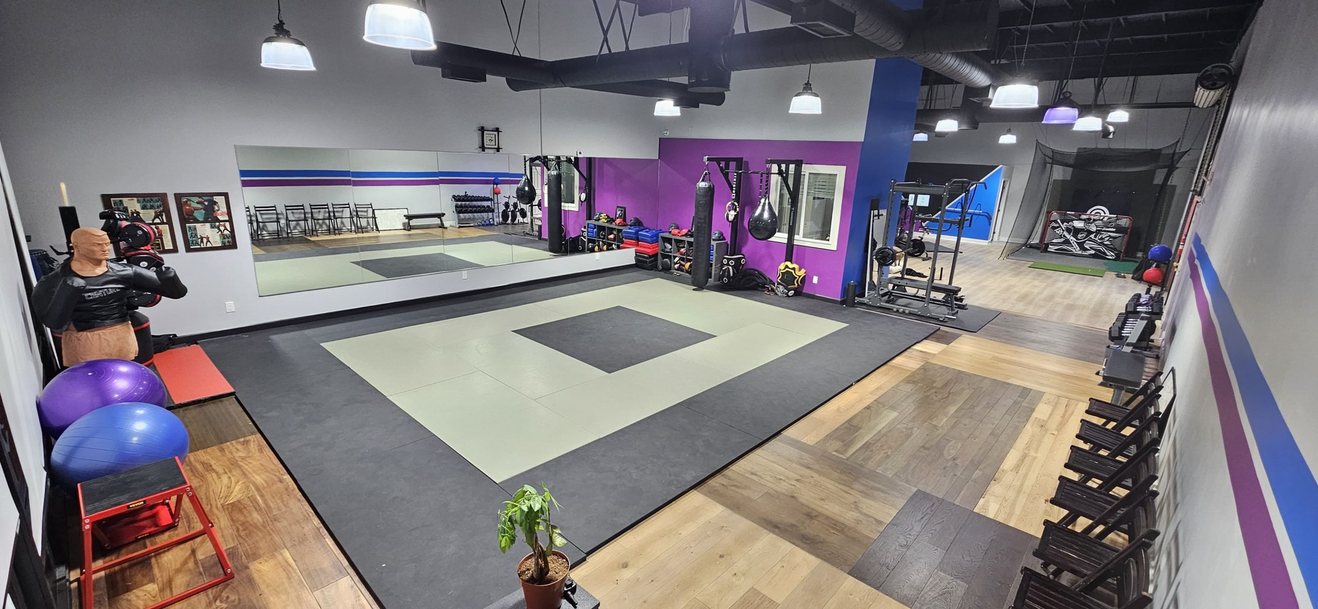 A large gym with a karate mat and a large mirror.