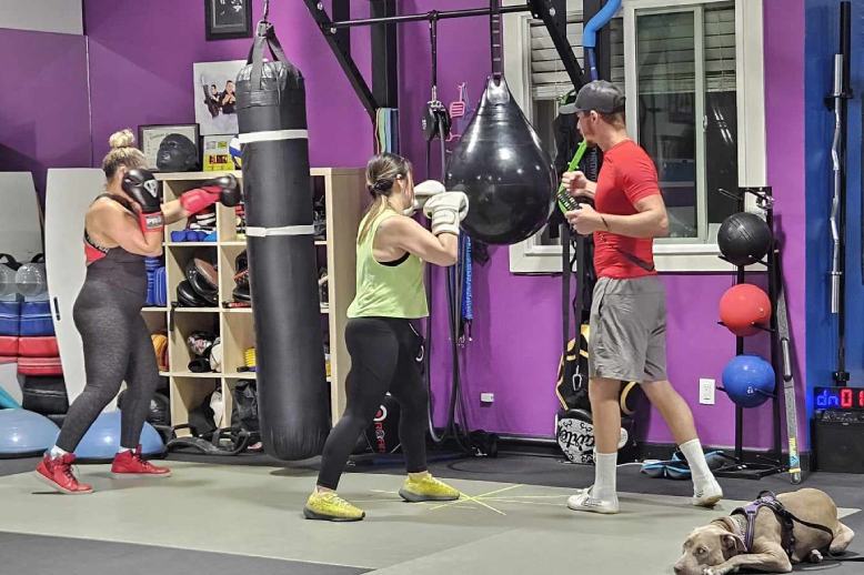 A group of people are boxing in a gym with a dog.