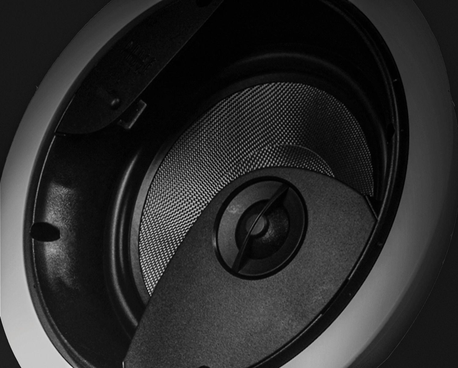 Close-up of a speaker with a circular mesh grill and a central tweeter.