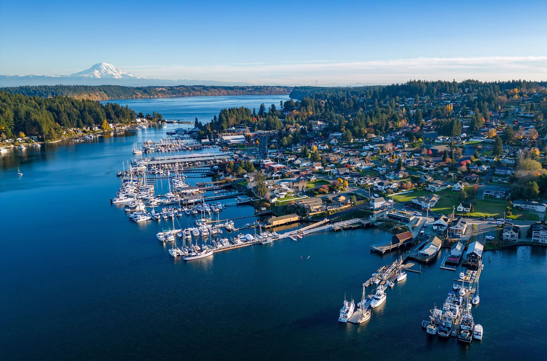Aerial view of a coastal town and marina on a sunny day, with boats, trees, and a mountain in the distance.